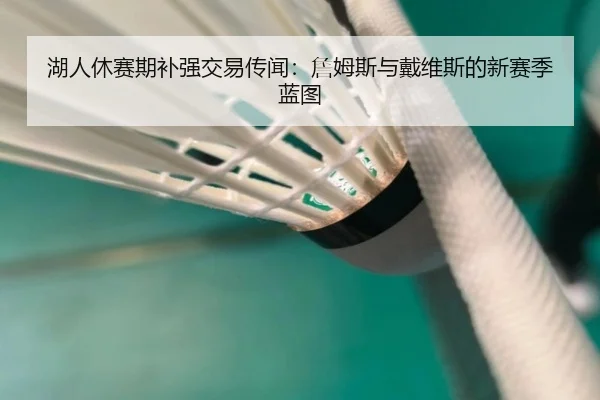 湖人休赛期补强交易传闻:詹姆斯与戴维斯的新赛季蓝图