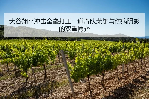 大谷翔平冲击全垒打王：道奇队荣耀与伤病阴影的双重博弈