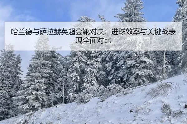 ha-lan-de-yu-sa-la-he-ying-chao-jin-xue-dui-jue-jin-qiu-xiao-lv-yu-guan-jian-zhan-biao-xian-quan-mian-dui-bi-2-349.jpg