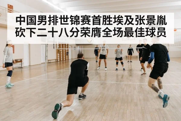 indoor volleyball game